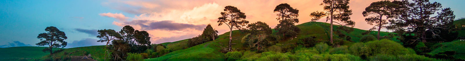 Adobe Lightroom