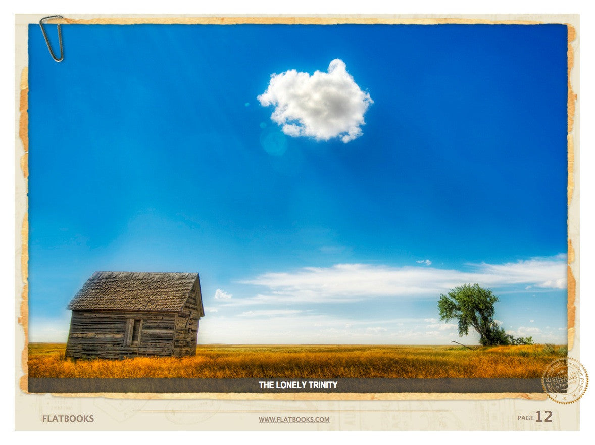 10 Principles of Beautiful Photography