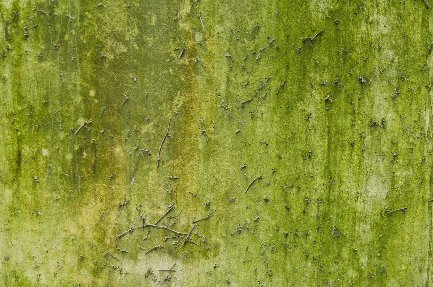 Trey's Textures v2.0