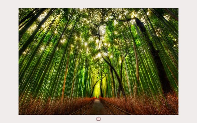 Light Falls Like Bits