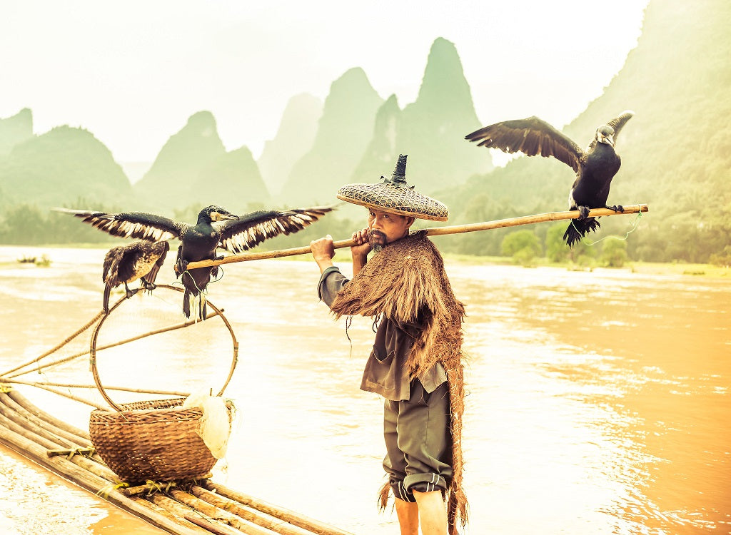 Trey's Lightroom Presets - Bundle