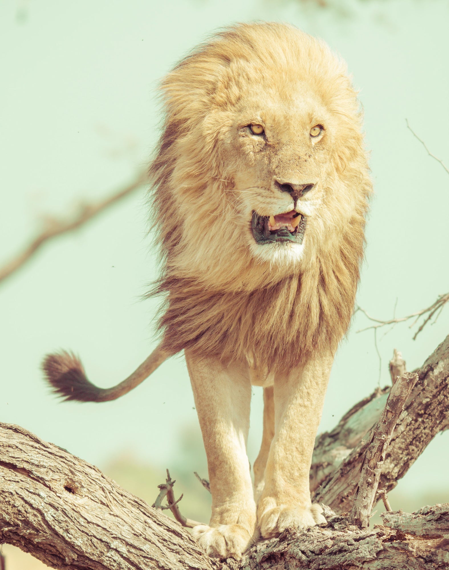 Trey Ratcliff's Travel Photography Tutorial - Bonus Edition