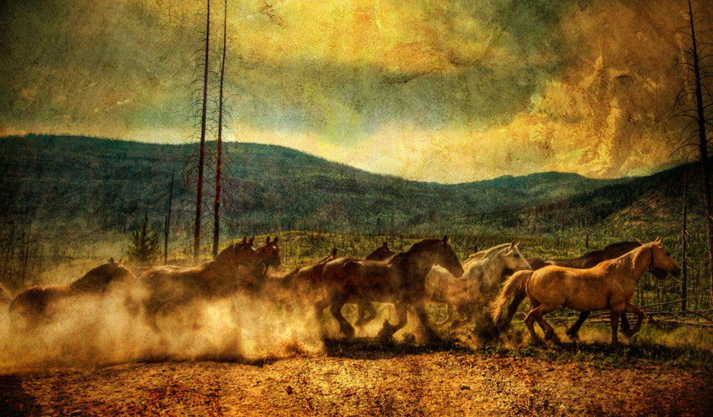 Trey's Textures Tutorial 2.0 (BONUS)