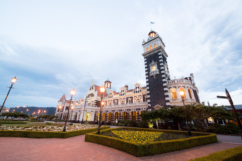 RAW Image Straight from the Camera