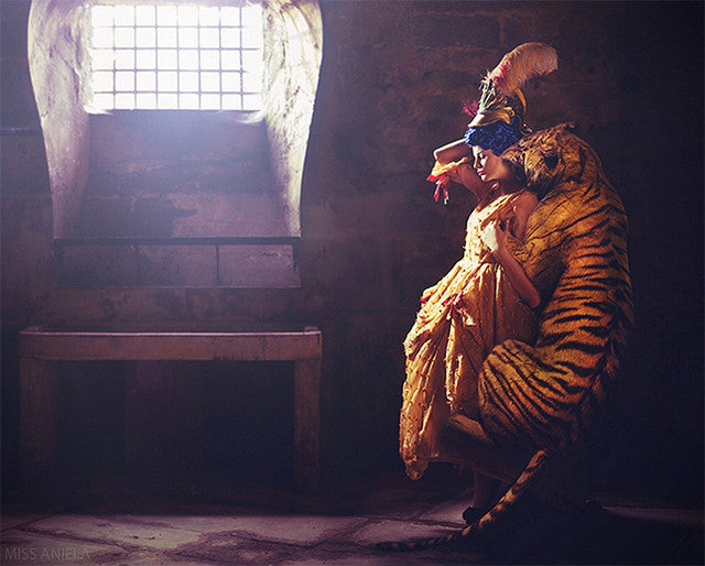 Midnight in Paris (BONUS Edition)