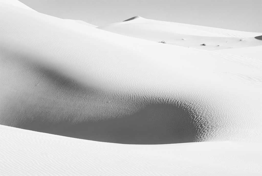 Becoming An Artist - Season 1