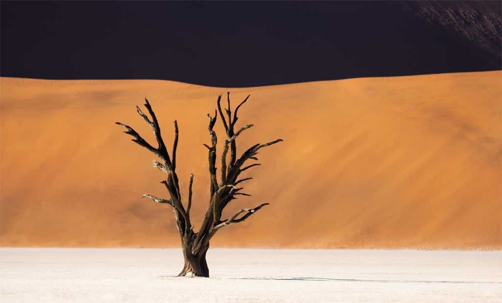 Becoming An Artist - Season 1