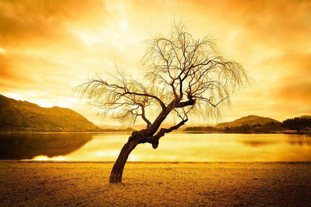 Trey's Lightroom Presets - VOL 1