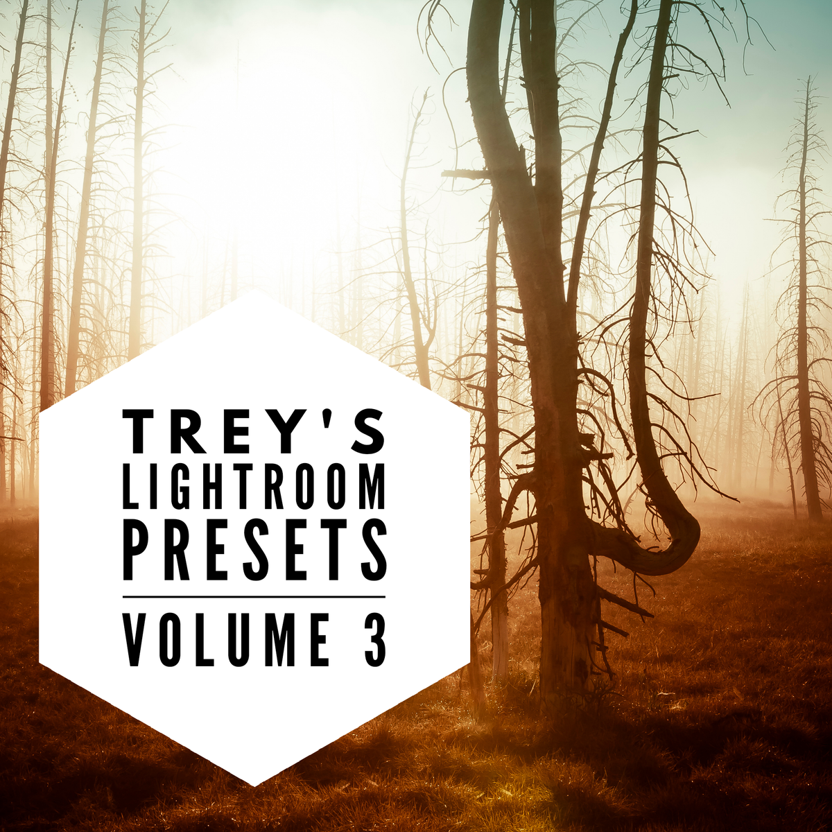 Trey&#39;s Lightroom Presets - VOL 3