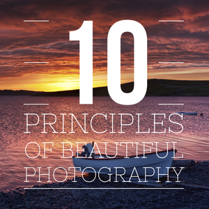 10 Principles of Beautiful Photography